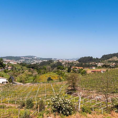 Partezins I Villa Castelo de Paiva Kültér fotó